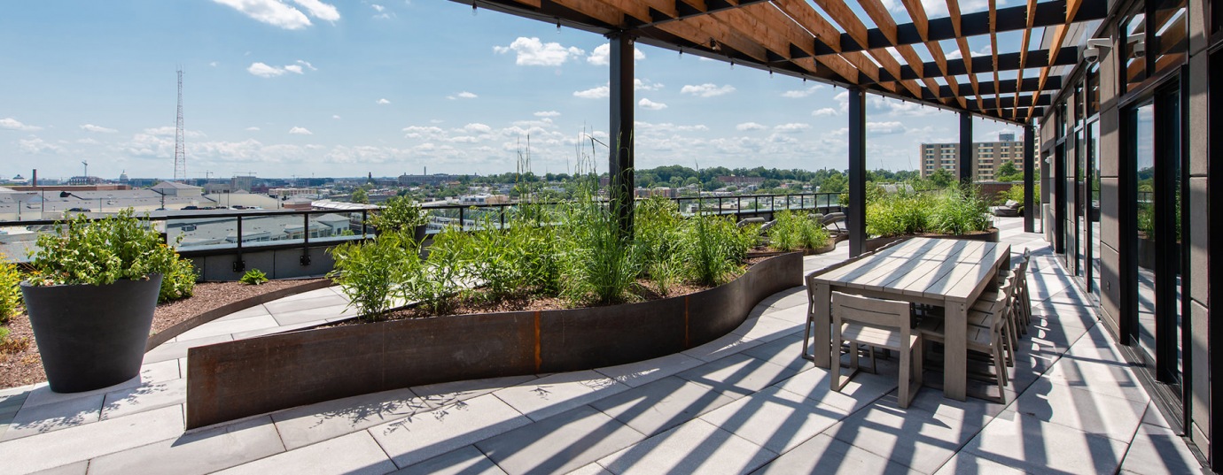 Beautiful rentals in Washington, DC Brookland Press